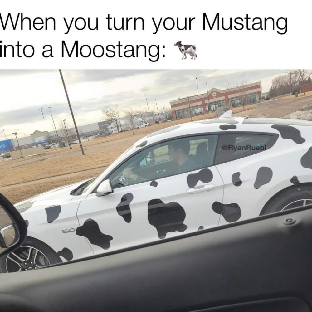 Meet your Posher, Mack